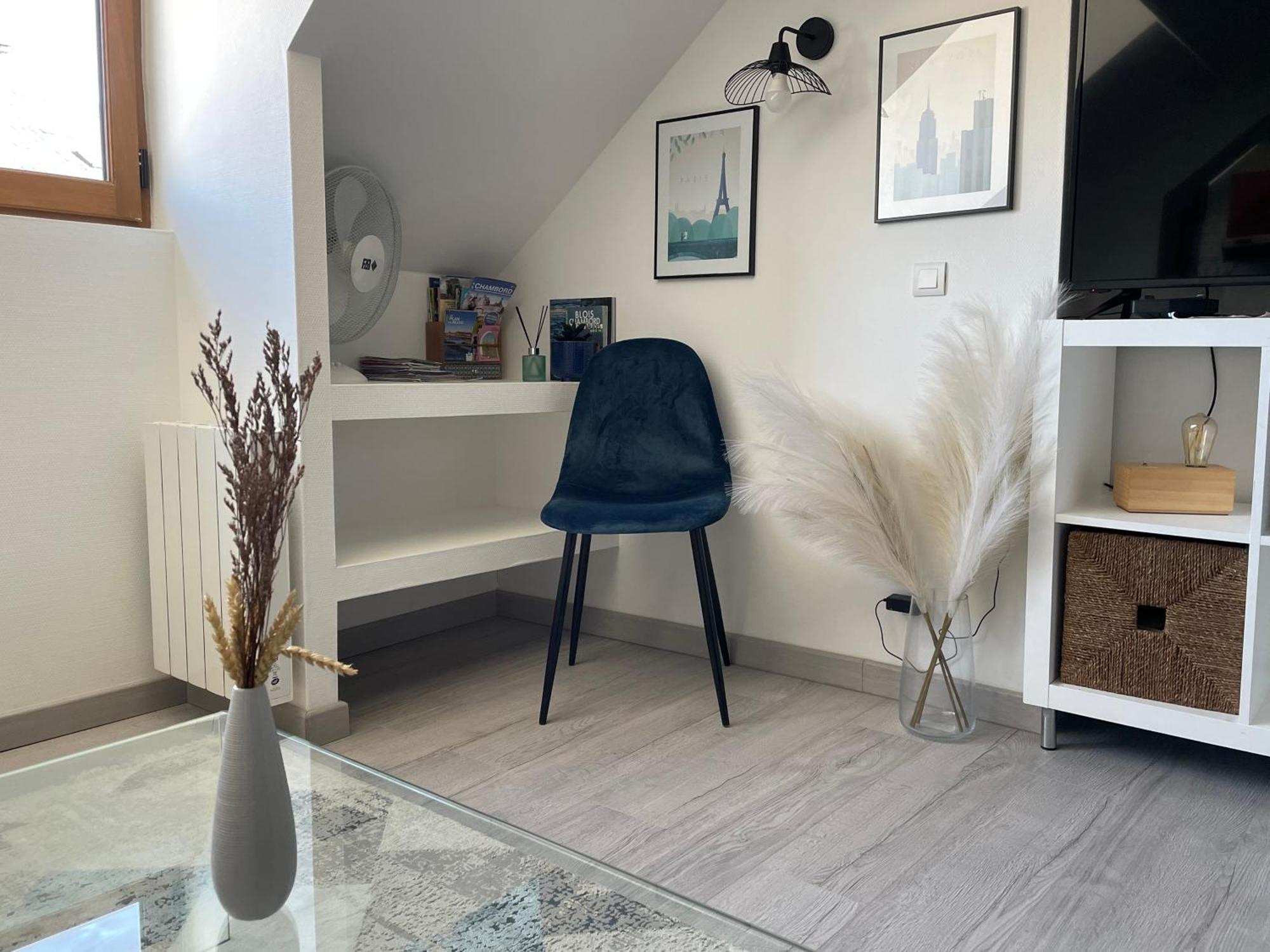 Magnifique Logement Au Pied Du Chateau 블루아 외부 사진