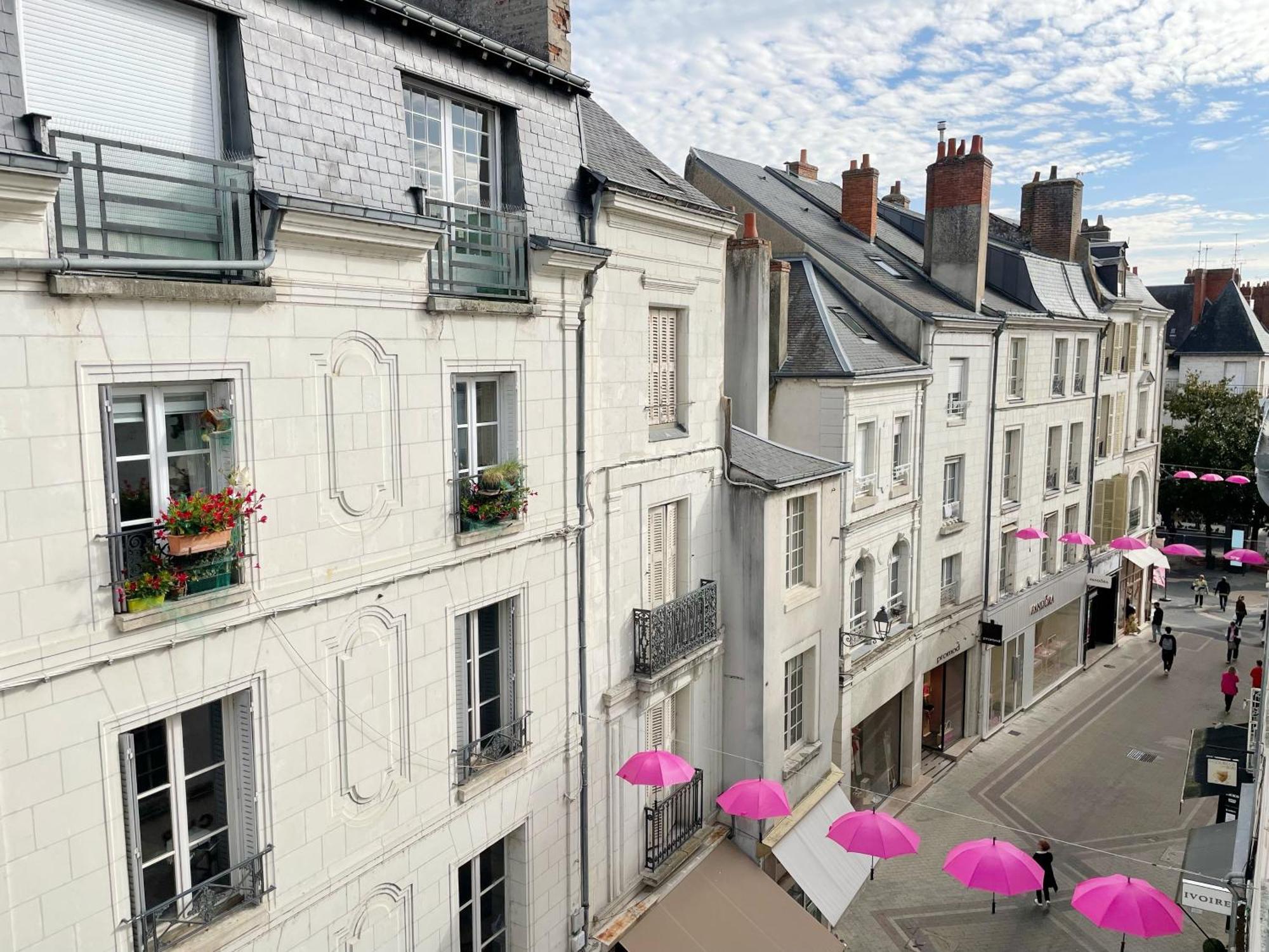 Magnifique Logement Au Pied Du Chateau 블루아 외부 사진